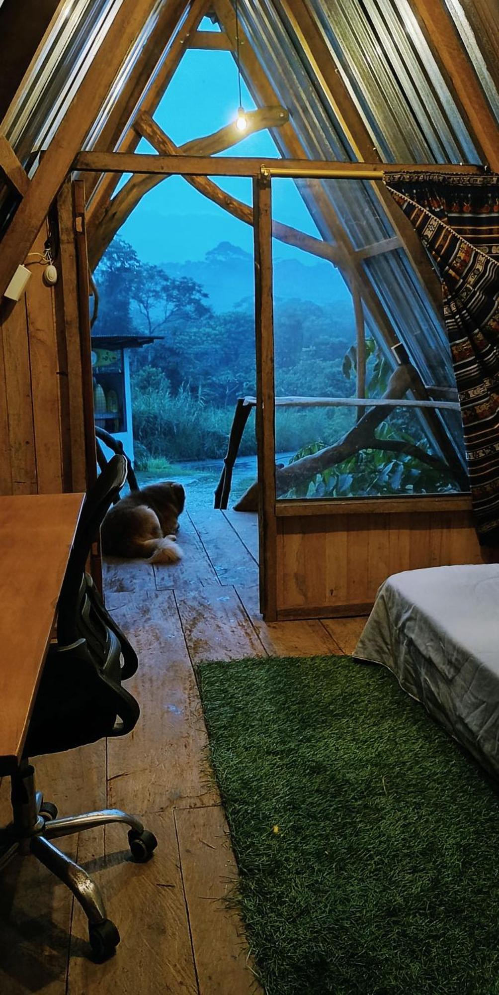Jungle Roots Hotel Tena Værelse billede