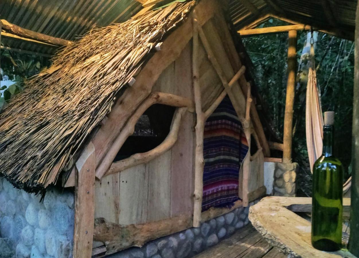 Jungle Roots Hotel Tena Eksteriør billede